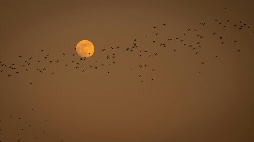 Veja qual fase da lua estamos nesta quarta, dia 11 de junho de 2025; e confira calendário do mês 