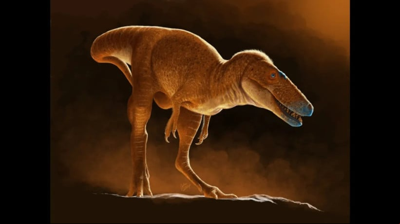 FÃ³ssil achado na MongÃ³lia Ã© o parente mais prÃ³ximo do T. rex jÃ¡ identificado, mudando ideia de que esses predadores surgiram sÃ³ na AmÃ©rica do Norte 